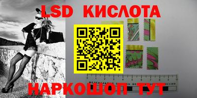 гидра Заводоуковск