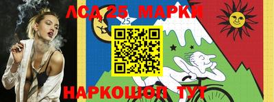гидра Заводоуковск