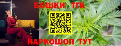 гидра Заводоуковск