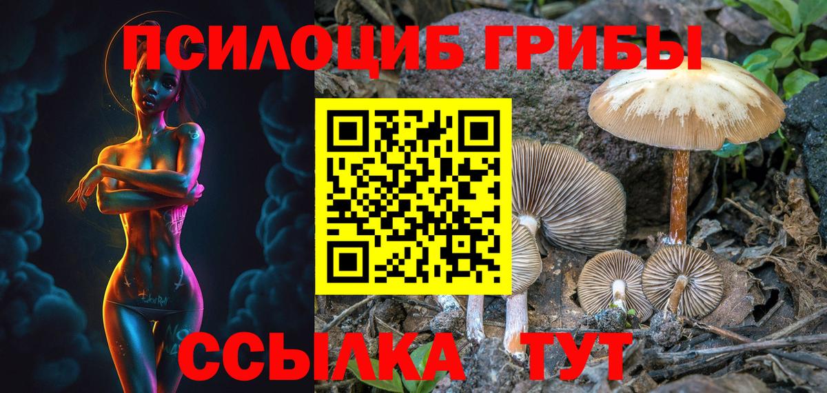 Псилоцибиновые грибы мухоморы Михайловск
