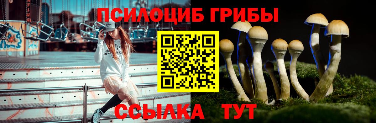 Псилоцибиновые грибы GOLDEN TEACHER  Псилоцибиновые грибы Psilocybine cubensis  Вход с VPN  закладки  Михайловск 